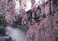 Kyoto Scenery (image)/ (c) Kyoto Photo Guide
